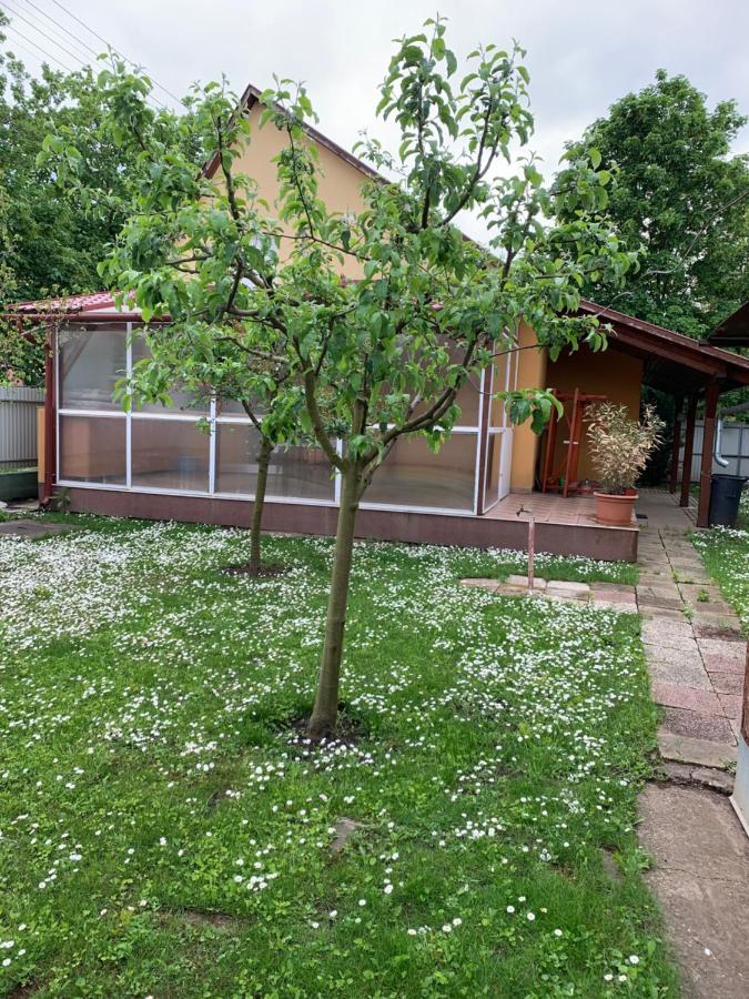 Eoetvoes Vendeghaz Villa Hajduszoboszlo Ngoại thất bức ảnh