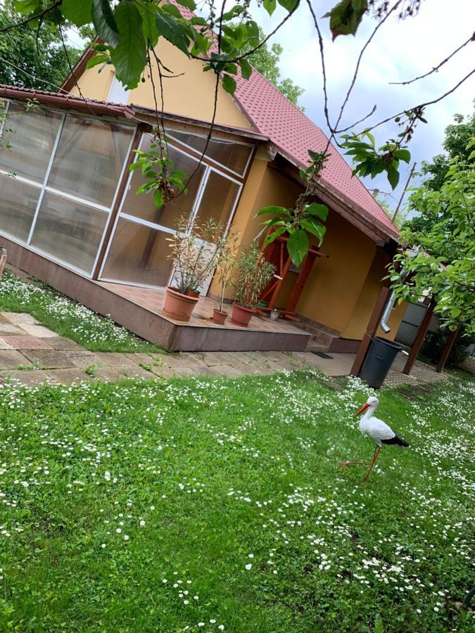 Eoetvoes Vendeghaz Villa Hajduszoboszlo Ngoại thất bức ảnh